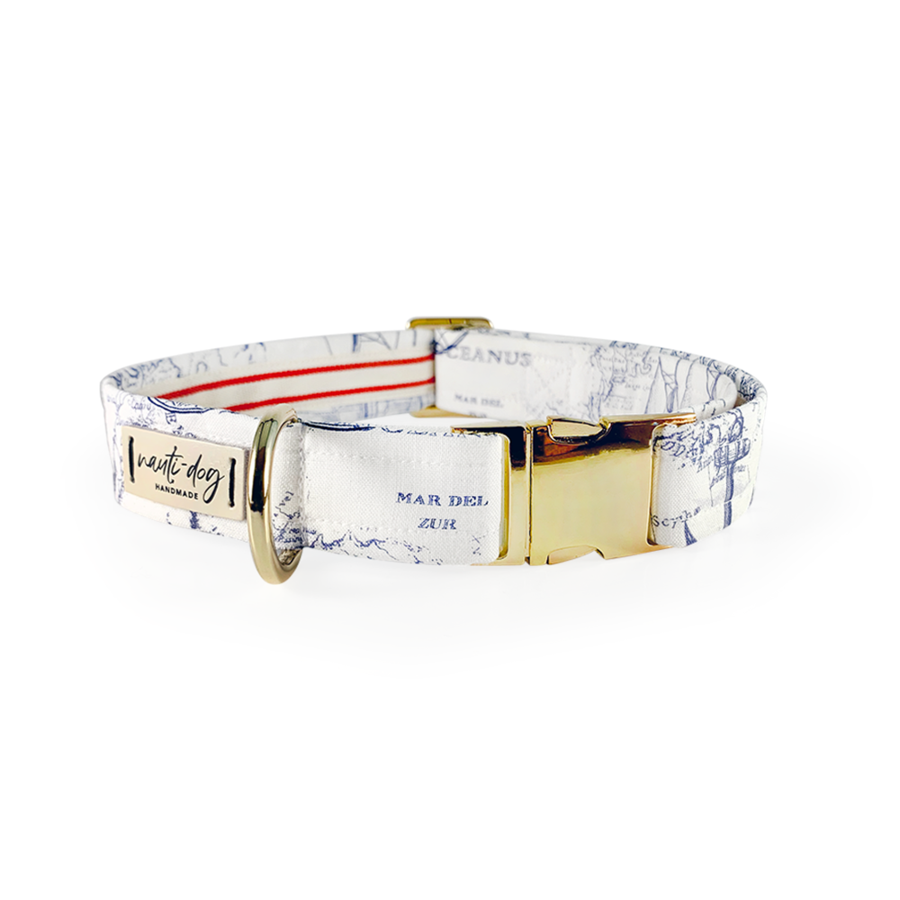 Carta Marina Light Nautical Toile Buckle & Martingale Collar