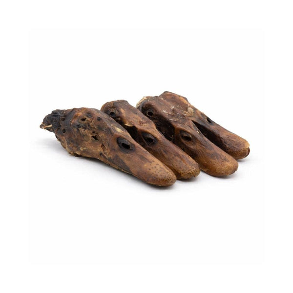 Dehydrated Duck Heads for Dogs – Crunchy Natural Chew Treats
