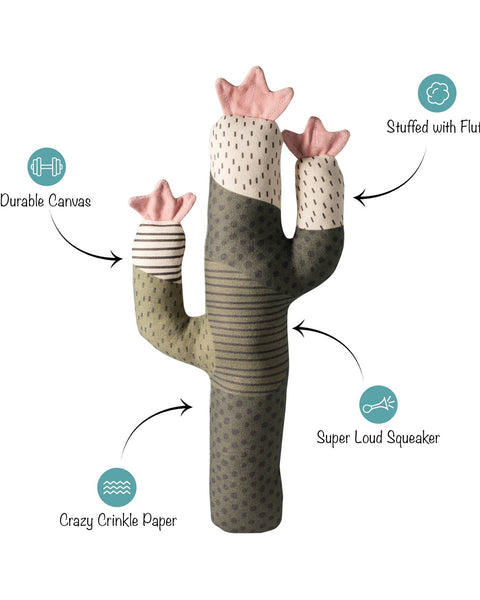 CANVAS SQUEAKER DOG TOY I CAN BE A BIT PRICKLY