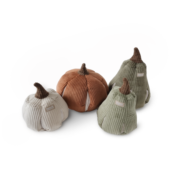 CINDERELLA // ENRICHMENT DOG TOY // SNUFFLE TOY // PUMPKIN