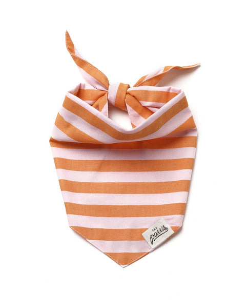 Nusa Dog Bandana