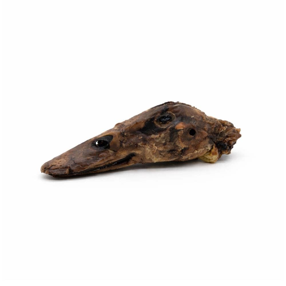 Dehydrated Duck Heads for Dogs – Crunchy Natural Chew Treats