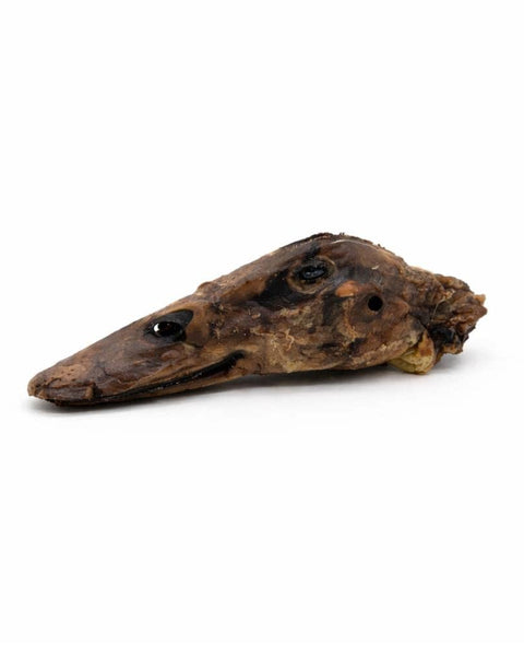 Dehydrated Duck Heads for Dogs – Crunchy Natural Chew Treats