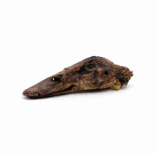 Dehydrated Duck Heads for Dogs – Crunchy Natural Chew Treats