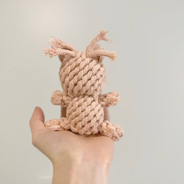 Sweetheart Macarons Dog Toys