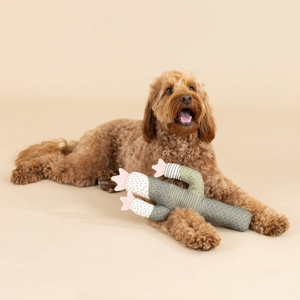 CANVAS SQUEAKER DOG TOY I CAN BE A BIT PRICKLY