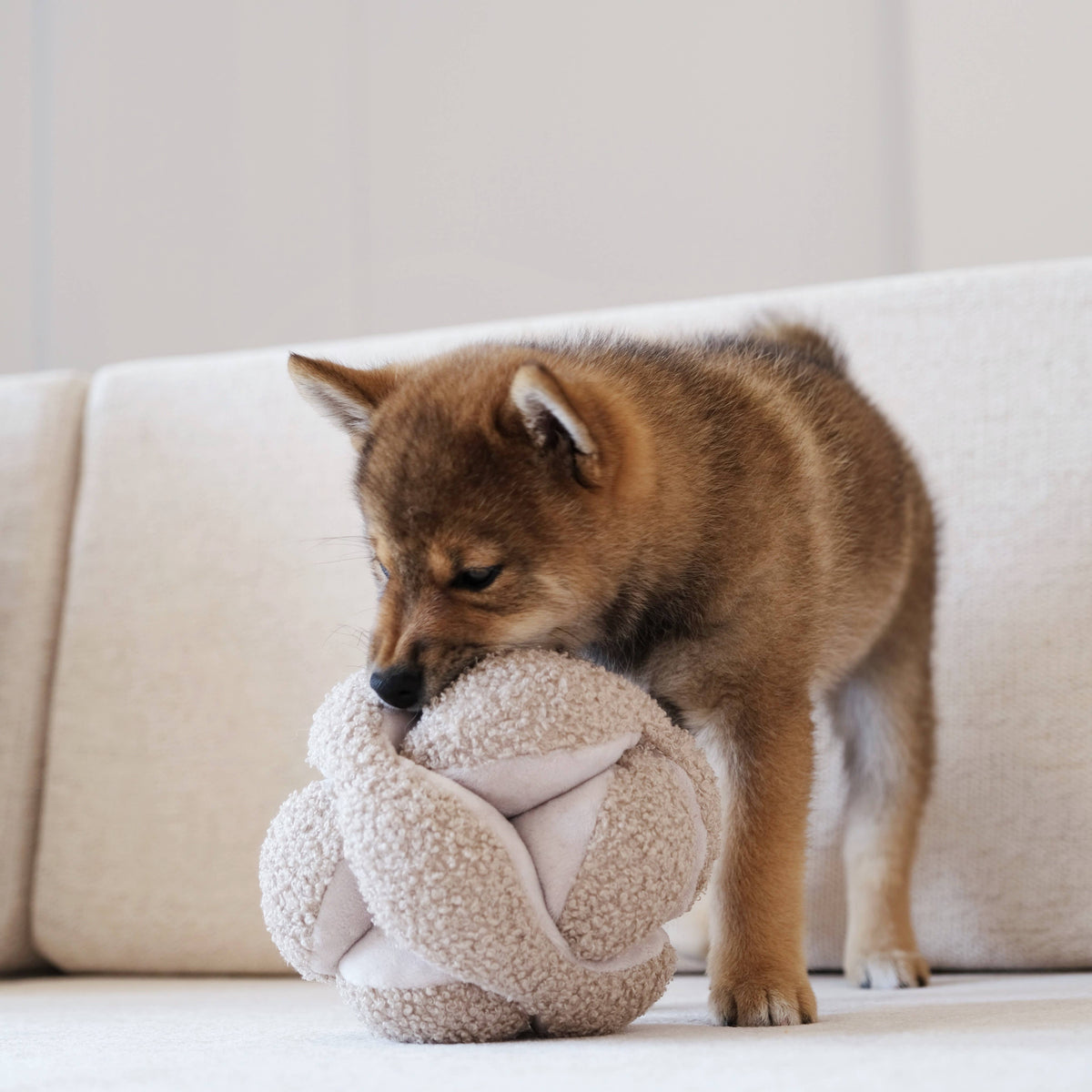 MONTI//ENRICHMENT DOG TOY