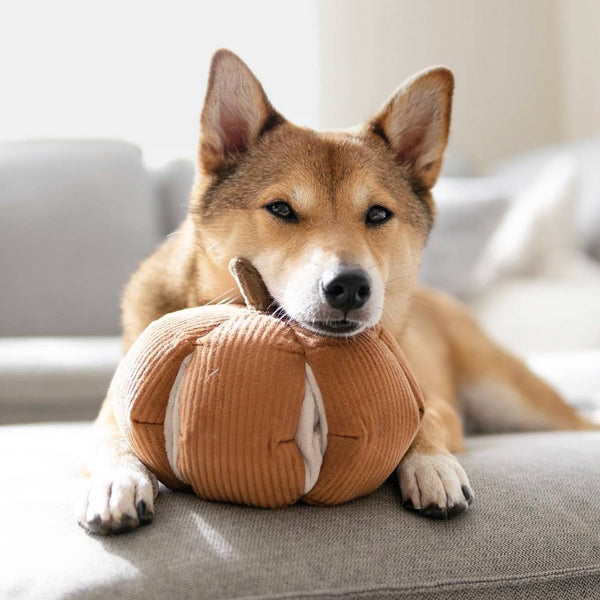 CINDERELLA // ENRICHMENT DOG TOY // SNUFFLE TOY // PUMPKIN