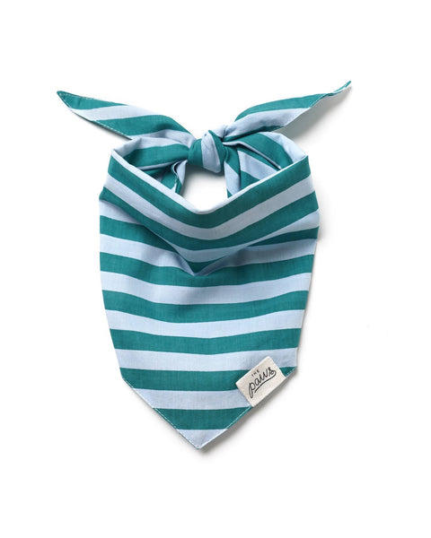 Gili Dog Bandana