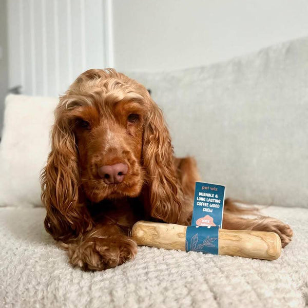 Coffee Wood Chew