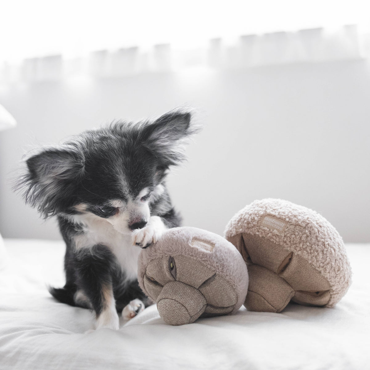 GUU//OAT//NOSEWORK MUSHROOM//ENRICHMENT DOG TOY