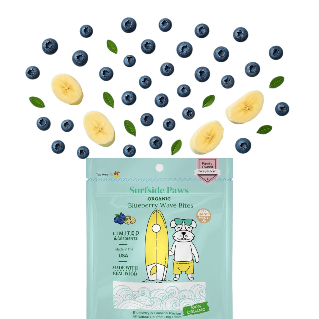 Blueberry Wave Bites