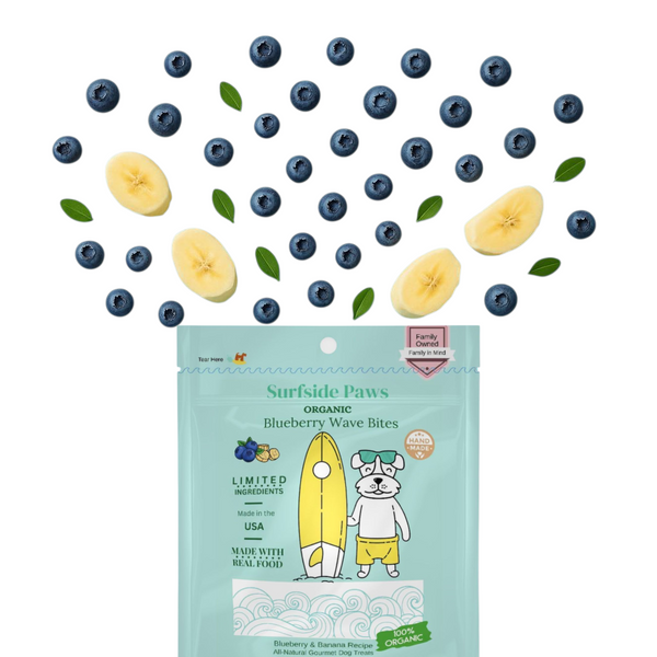 Blueberry Wave Bites